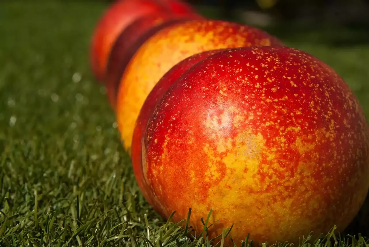 Blanching Techniques for Fruits: How to Prepare Peaches, Tomatoes, and More